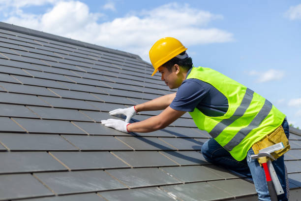Best Roof Gutter Cleaning  in Wakefield, VA