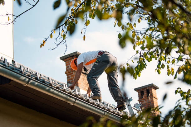 Best Roof Restoration Services  in Wakefield, VA