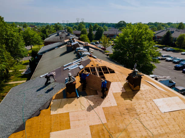 Best Metal Roofing Contractor  in Wakefield, VA