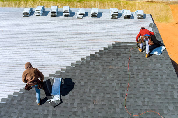 Best Metal Roofing Contractor  in Wakefield, VA